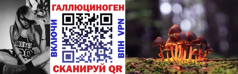 цены Кунгур Галлюциногенные грибы прущие грибы